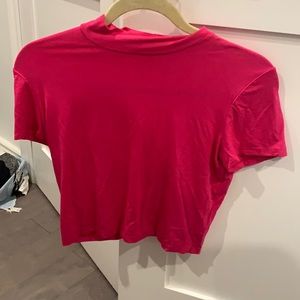 Birds of North America crop turtle neck